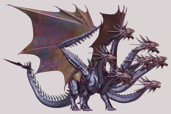 Kraken kraken link24 info