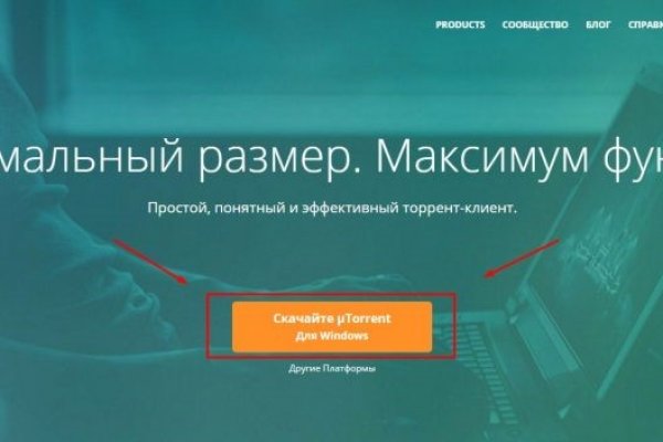Что такое кракен маркет торкнет