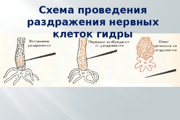 Кракен активная ссылка