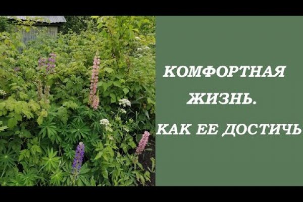 Ссылка кракен cc