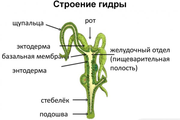 Кракен это что за магазин