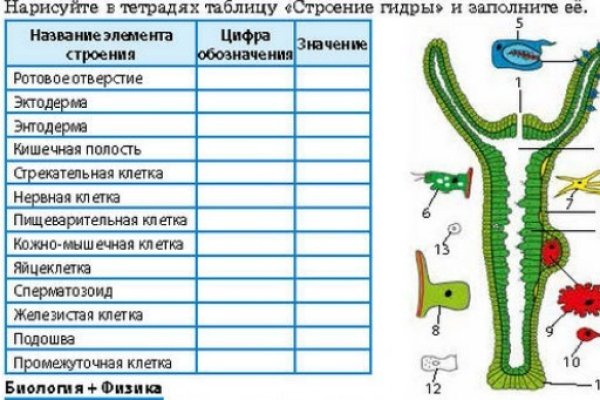 Kraken ссылка tor официальный сайт