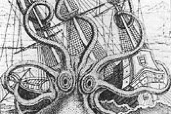 Kraken ссылка на сайт актуальная