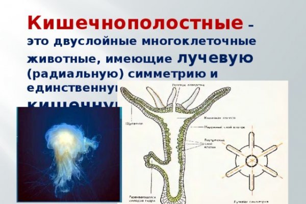 Как зайти на кракен без тора