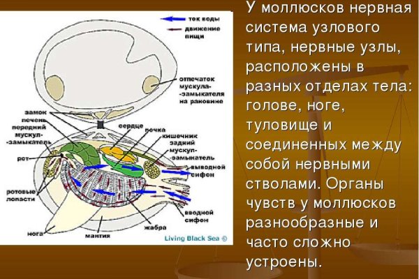 Кракен зеркало onion