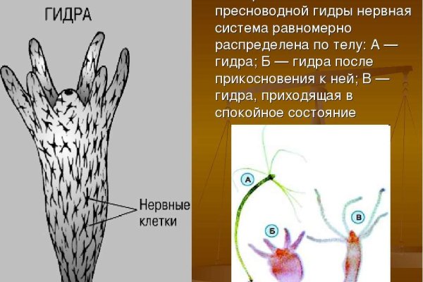 Замена hydra