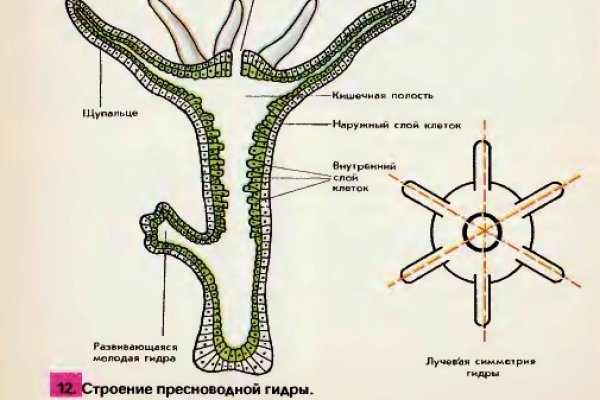 Кракен зайти зеркало